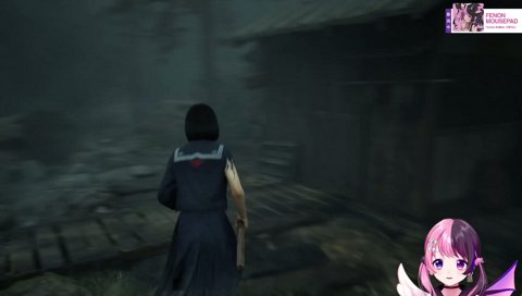 勝手に魂を賭けられる花京院