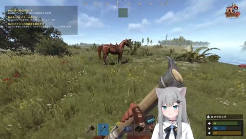 馬が猫を驚かせた