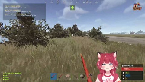 鹿に負けるかるび