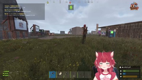 333は詐、欺師