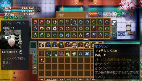 一瞬シンクロするトナゴリ トナゴリヘブンアニメでコアキーパー DAY7