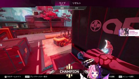 ワイルドカードでチャンピオンを勝ち取るぷるる