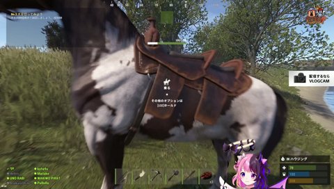 馬にたべもの