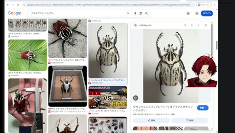 ボッキディウム・チンチンナブリフェルムと出会う