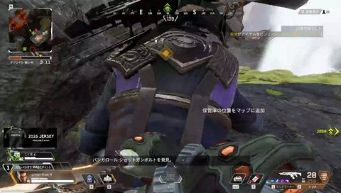 カルガモ部隊