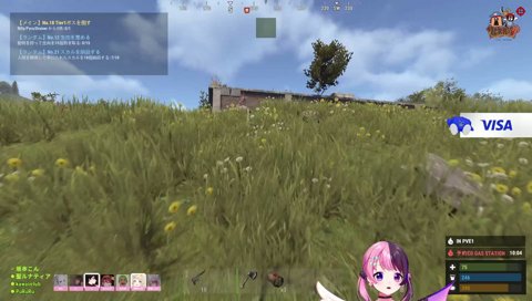 ハシゴ、登れず