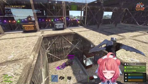 なずぴにチェスト整理をお願いするあかりん
