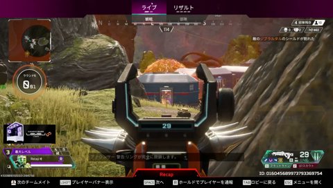 りきゃさんうまいな→いやヘタかも→知識無いだけ