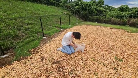 しゅうまいを抱っこするらいじん