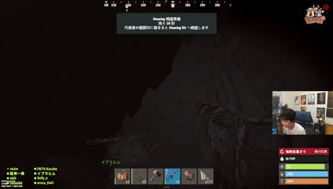 ハチも石も全部味方に当たるw