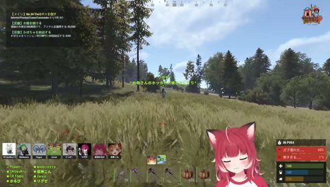 こんちゃんに水ぶっかける作戦