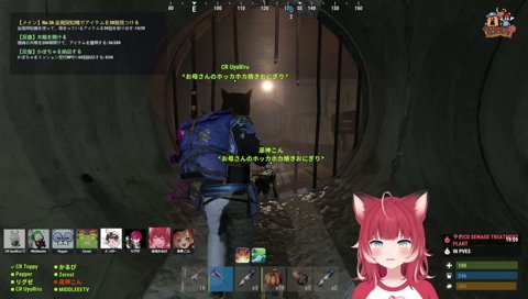 ほぼ一人の力でボスを倒すかるび