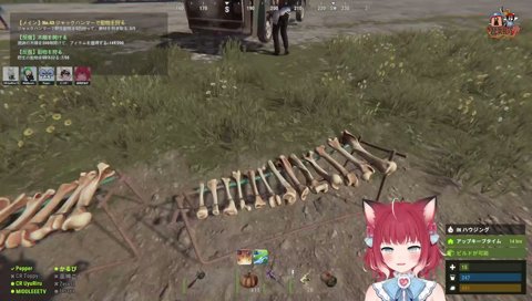 木琴？骨琴？