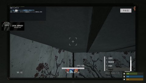 サイネvsひなーの