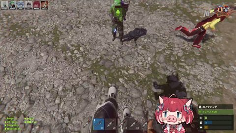 炙りかるび