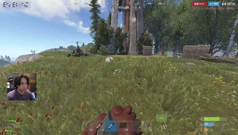 RUST