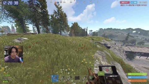 RUST