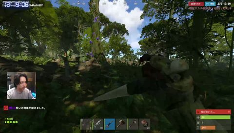 RUST