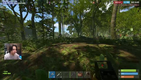 RUST