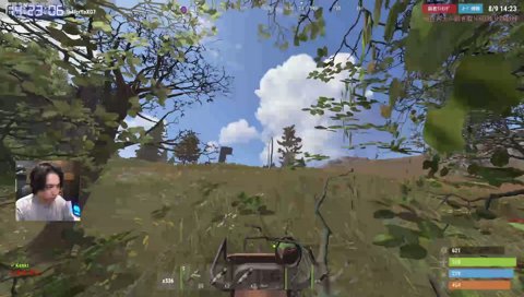 RUST