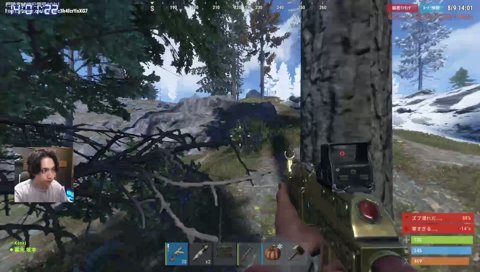 RUST