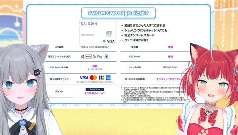 【完全ナンバーレスカードで安全】　「パス抜きされない！？」　そうｗ　　なちょ「良かったね　かるびにパス抜きされないから」　私みたいなやつが居るから多分ｗ　　　パス抜きされないから安全ｗ