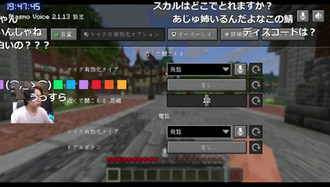 マイクラ