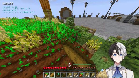 マイクラ初心者の畑荒らし