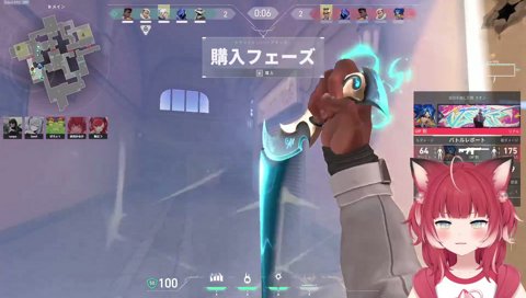 【かるびフェニ】　もうガッツリ行くよ？　　ゼロスト「ベッコリ」　ベッコリ行くよ！　ゴー！　（フラッシュ）眩しぃ　自分で食らっちゃった