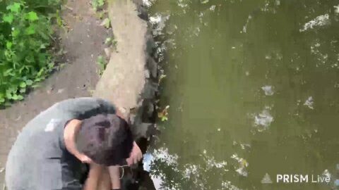 Thumb 0000000000 480x272 5085