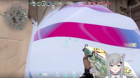 Thumb 0000000000 480x272 5274