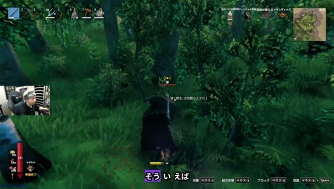 コメントが流れるの遅くて笑った話 ヴァルヘイム12日目
