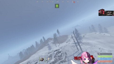 褒められて照れるまるたけ
