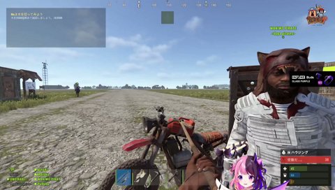 ヒャッホー