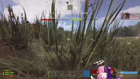 清々しくPVEで死ぬぷるる