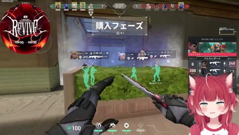 【かるび語】　（どういう赤が好き？）『純白の赤』か、イエベ寄りの赤が好きかな？　　私の赤はイエベ寄りの赤だと思ってるんだけどブルベ寄りはそうでもないっていうか　･･･　『純血の赤』だよｗ