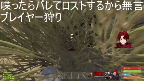 ツルピース