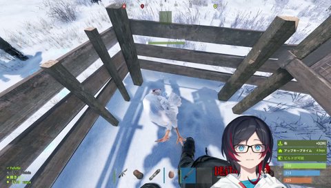 🐓さん、、、🎤♪