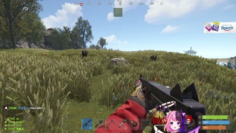 白熱ワンワンバトル