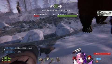 白熊に待ち伏せされるぷるる
