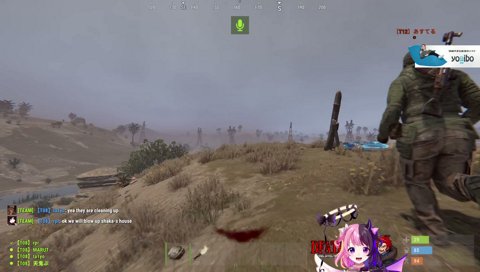 蜂爆弾を渡されたエンターテイナーぷるる