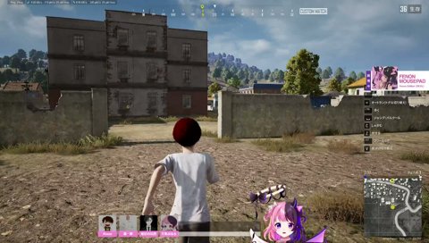 PUBG玄人ぷるる