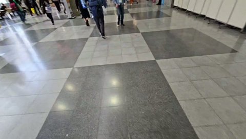 よいちゃんと遭遇