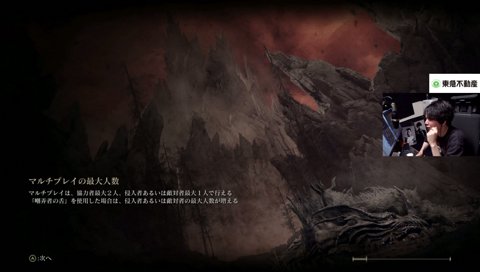 水鳥乱舞