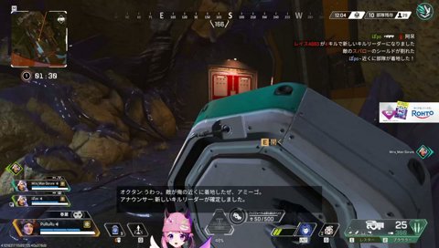 APEX 初心者 ソロ