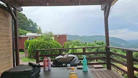 簡単酢