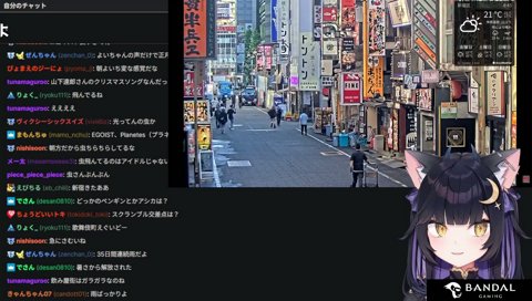 新宿の動物