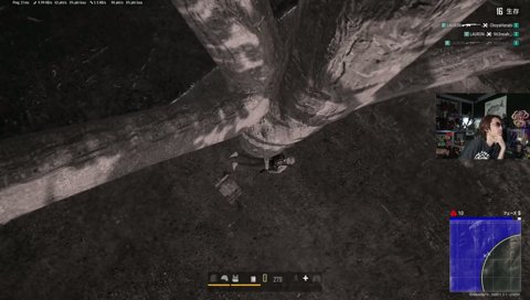 じーにあすは虫