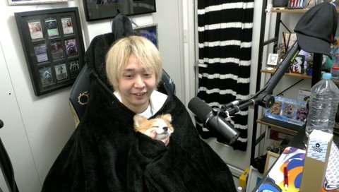 こたろう「もう好きにして」