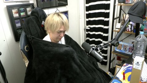 ひょっこり顔出しする可愛いコタくん